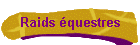 Raids questres